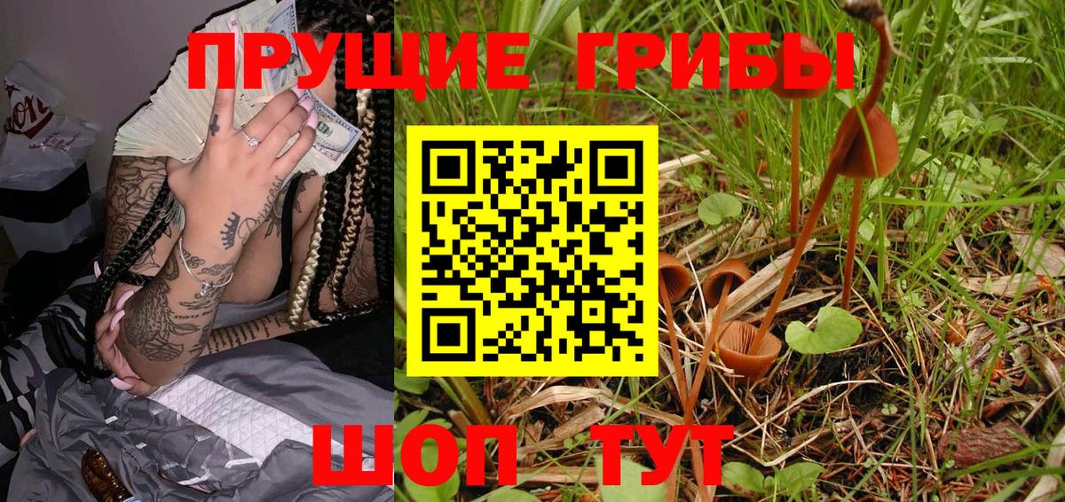 Галлюциногенные грибы Cubensis  Вход с VPN  Ульяновск 